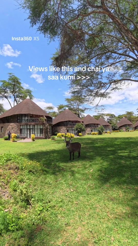 TikTok video thumbnail by stejostours