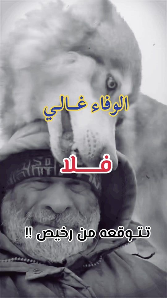 TikTok video thumbnail by omar..10.82