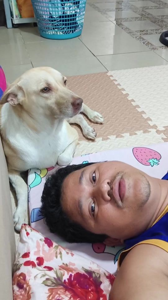 TikTok video thumbnail by teamtheo101