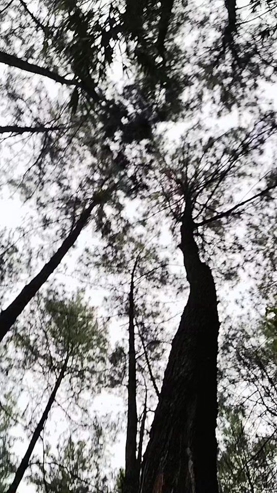 TikTok video thumbnail by iwan_ardy17