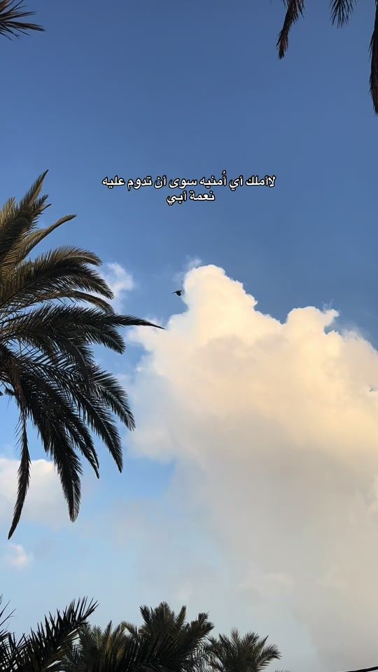 TikTok video thumbnail by ha_2.93