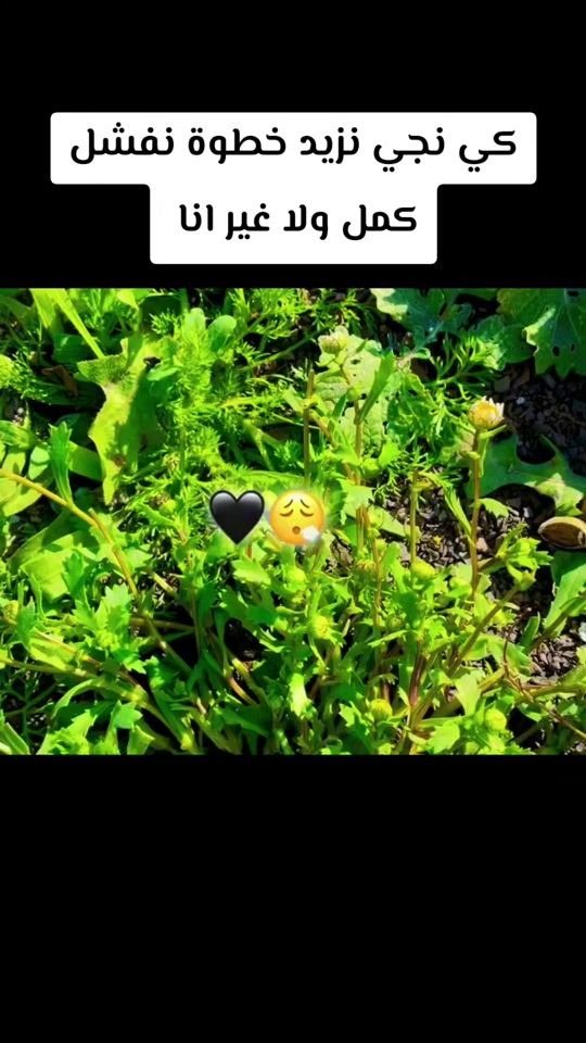 TikTok video thumbnail by kk_7115