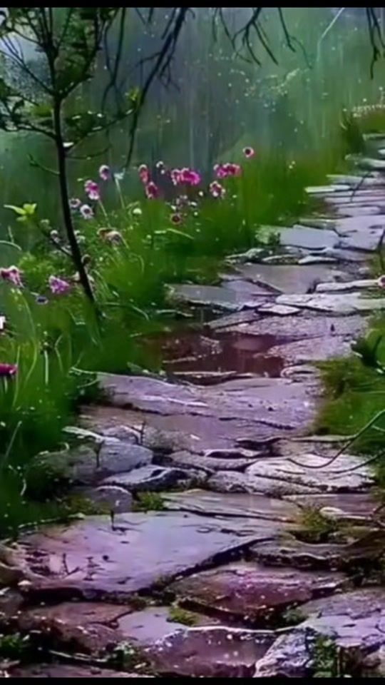 TikTok video thumbnail by cabaas.yuusuf.geele