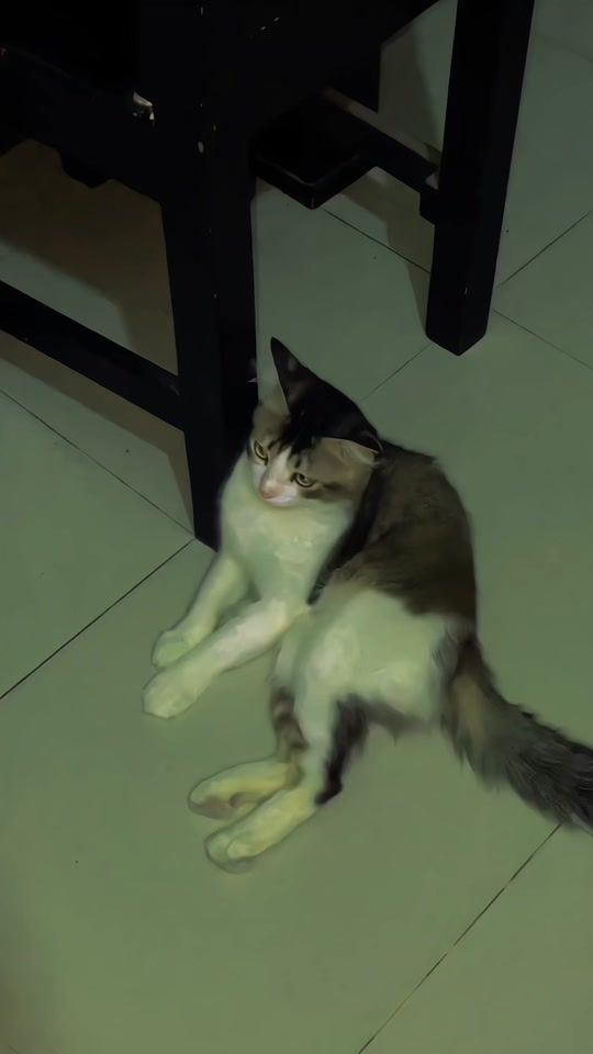 TikTok video thumbnail by ashiknaiem2