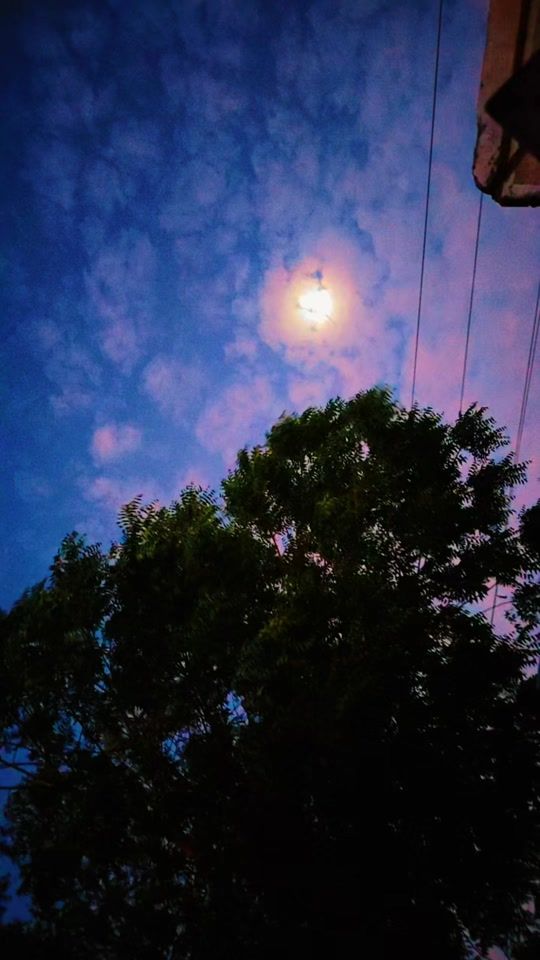 TikTok video thumbnail by .91136472