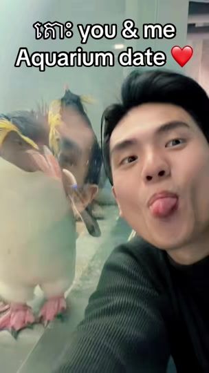 TikTok video thumbnail by tangsenghour3