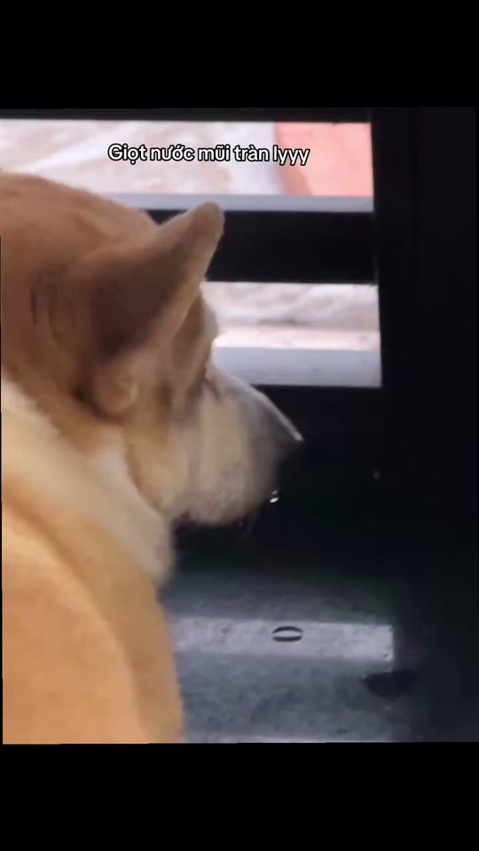 TikTok video thumbnail by beo.beothui