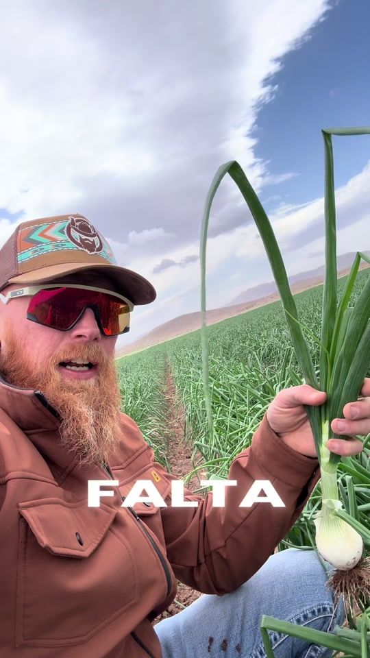 TikTok video thumbnail by el_vikingo_bluth
