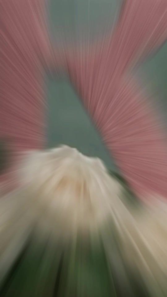 TikTok video thumbnail by userroro291