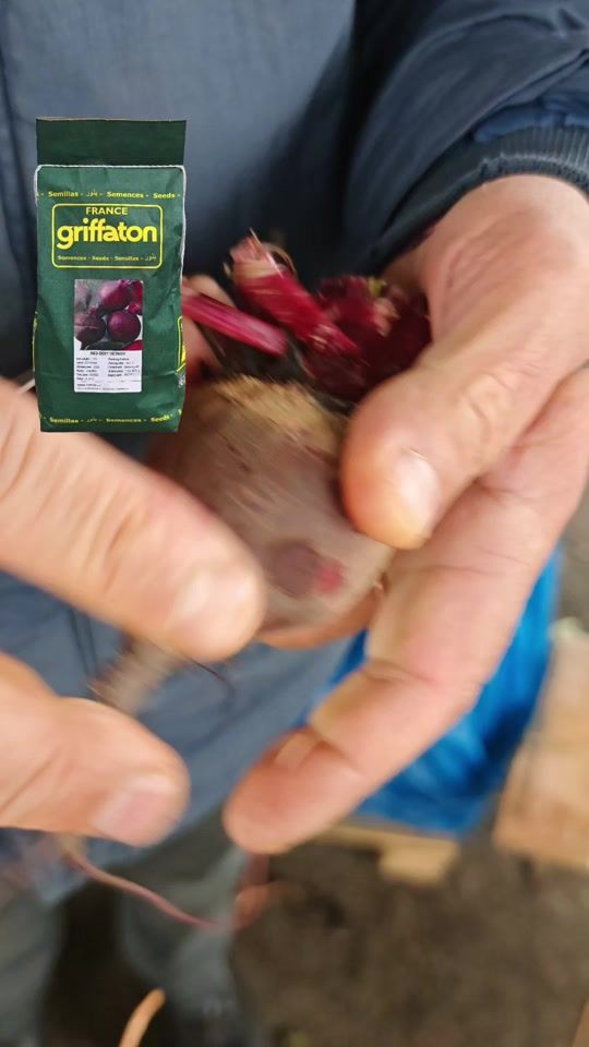 TikTok video thumbnail by toxumlargence