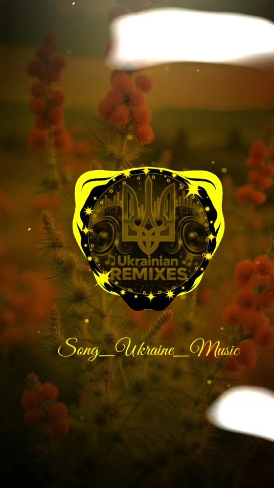 TikTok video thumbnail by ukrainian_remixed