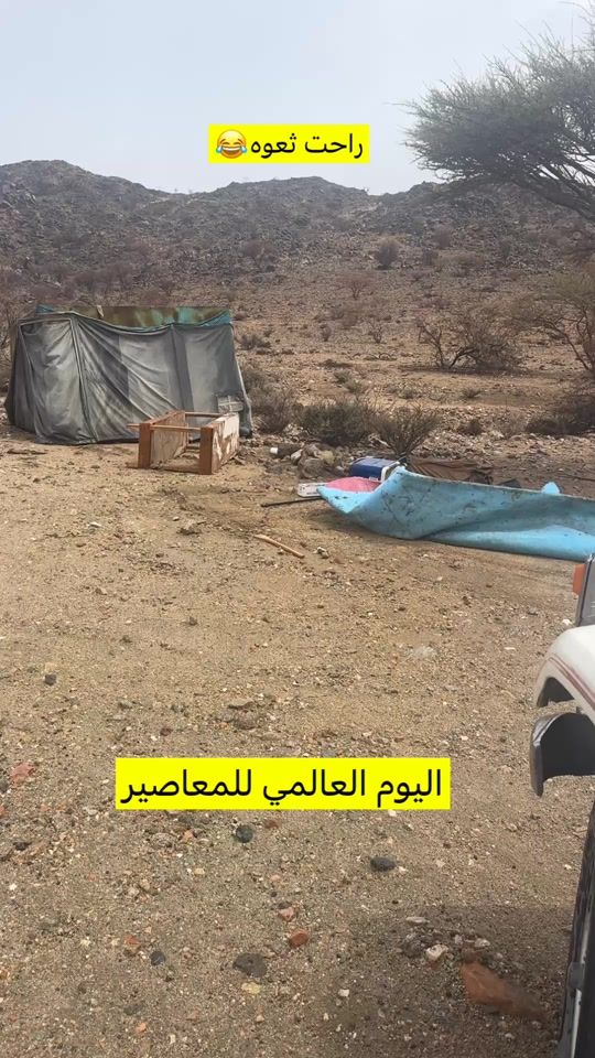 TikTok video thumbnail by m501j