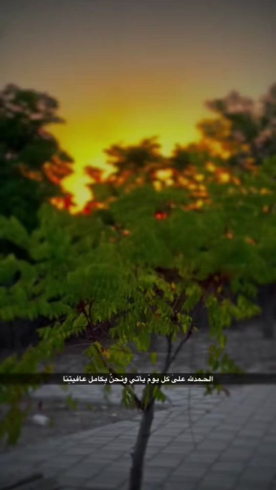 TikTok video thumbnail by salh..511