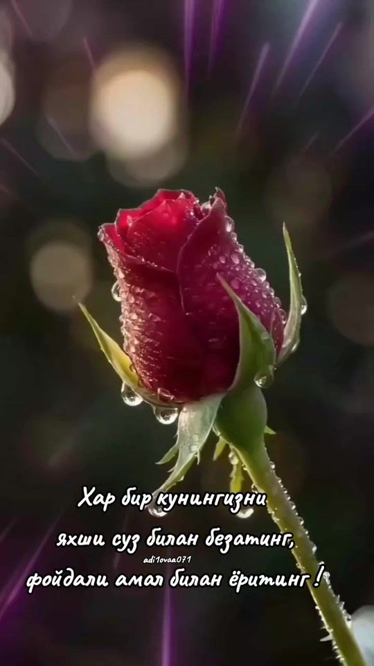 TikTok video thumbnail by adilovaa071
