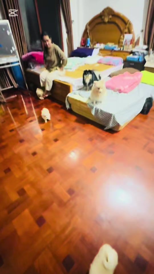 TikTok video thumbnail by ktyakyaw2