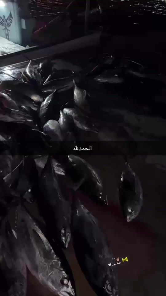 TikTok video thumbnail by j4w_5
