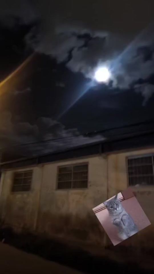 TikTok video thumbnail by miguel_angel_em