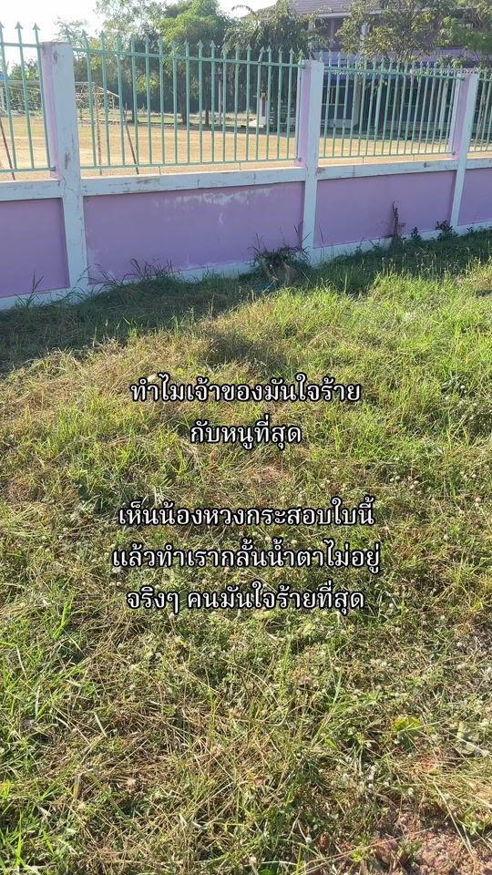 TikTok video thumbnail by krunui25