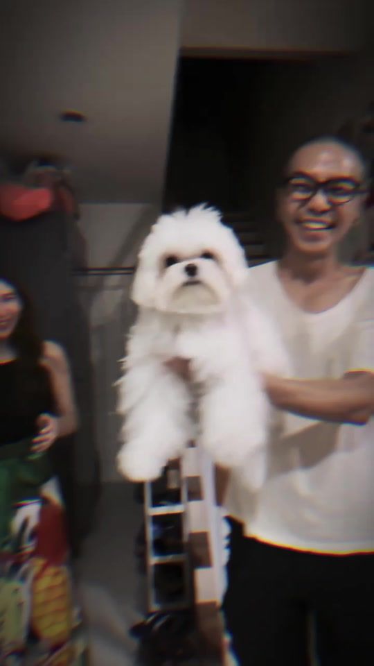 TikTok video thumbnail by piyathida_fc