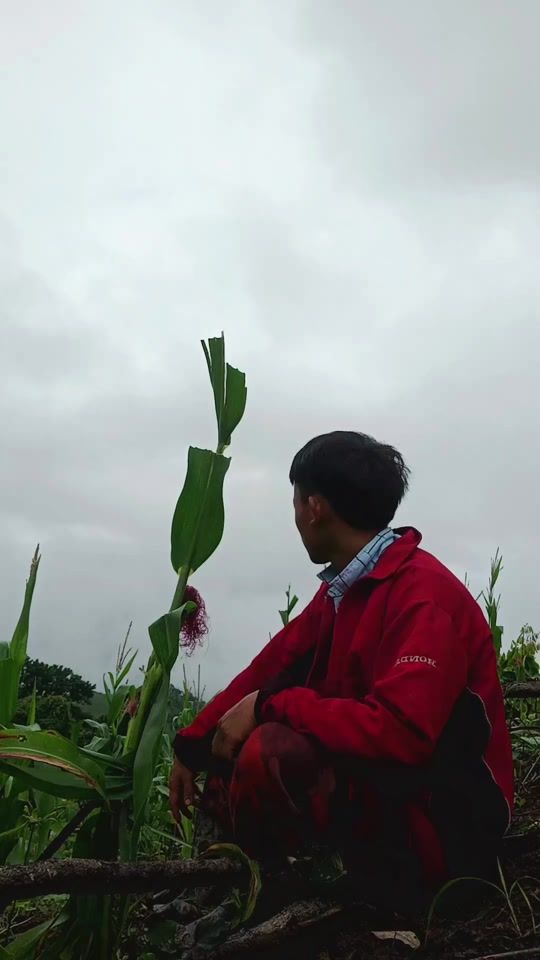 TikTok video thumbnail by user222211545