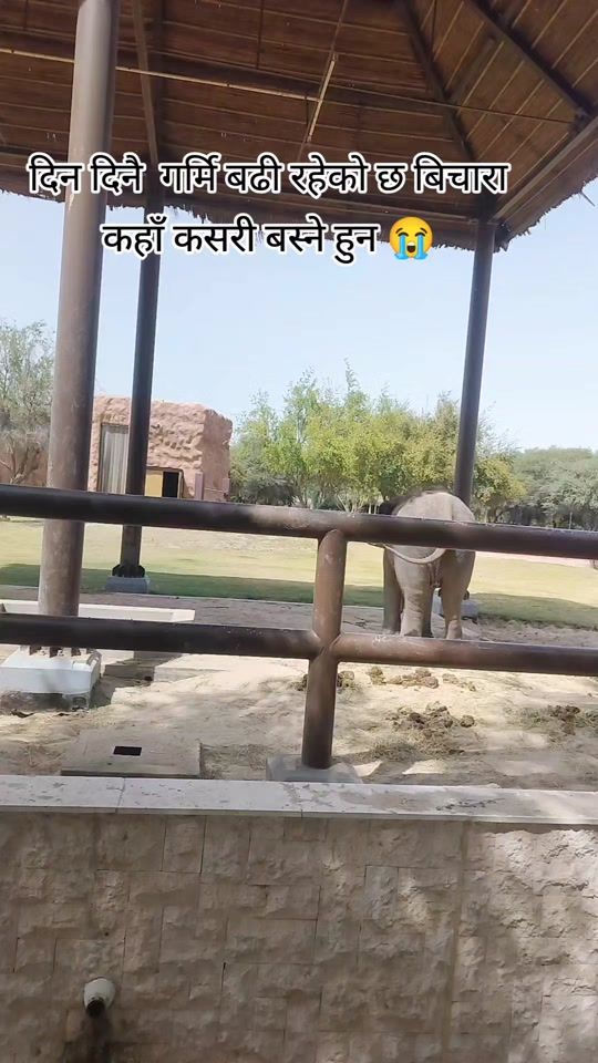 TikTok video thumbnail by roni_sunar