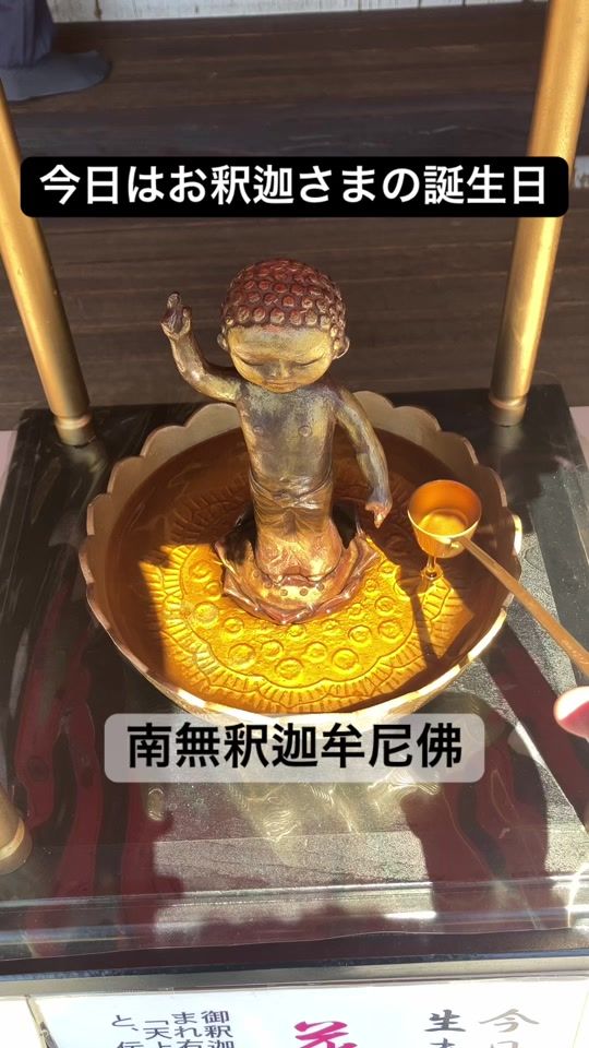 TikTok video thumbnail by masso.ryusei