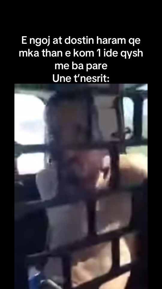 TikTok video thumbnail by tripi.5