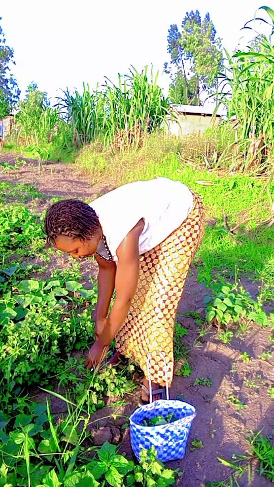 TikTok video thumbnail by sifa3589