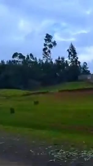 TikTok video thumbnail by a_d77119