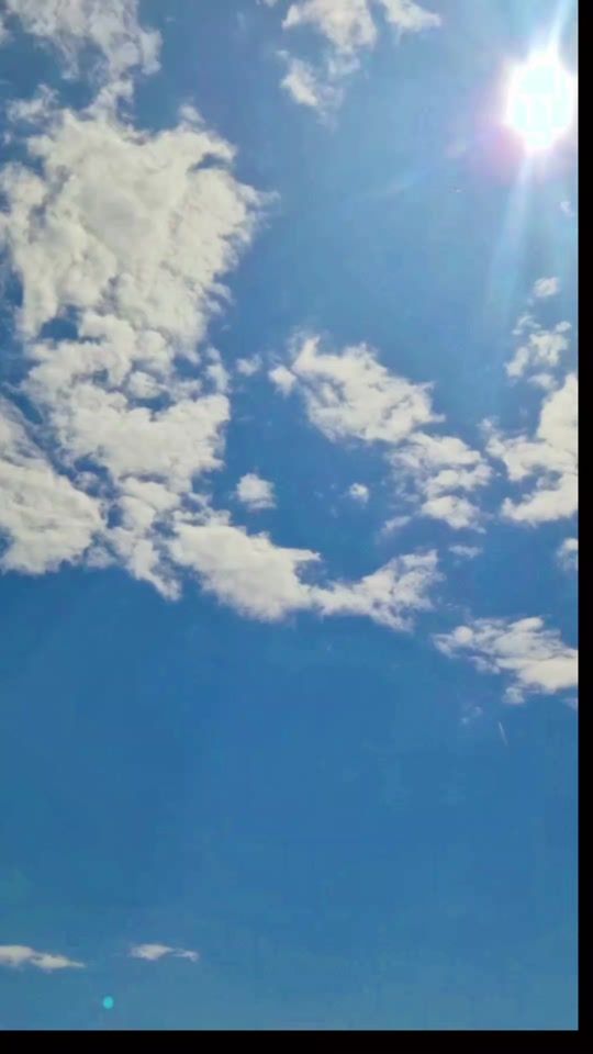 TikTok video thumbnail by lyn_3426
