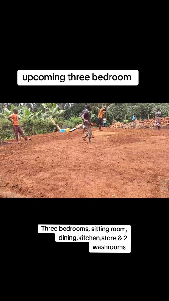 TikTok video thumbnail by its.felixken.designs