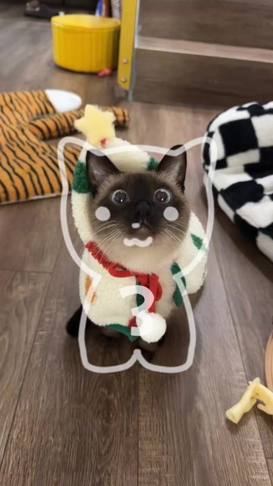 TikTok video thumbnail by jemua2020