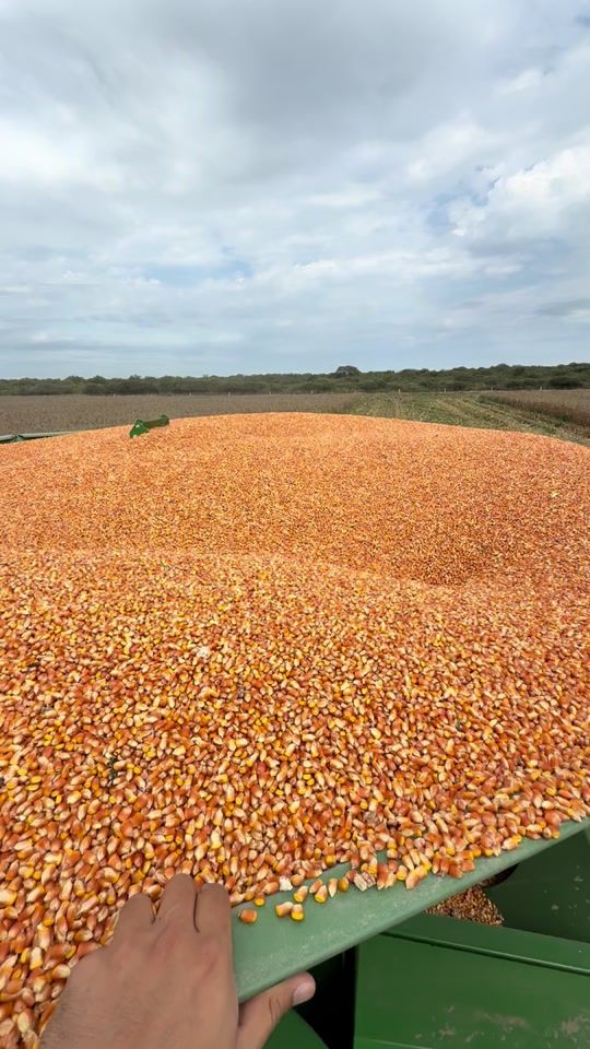 TikTok video thumbnail by walter.rojas252