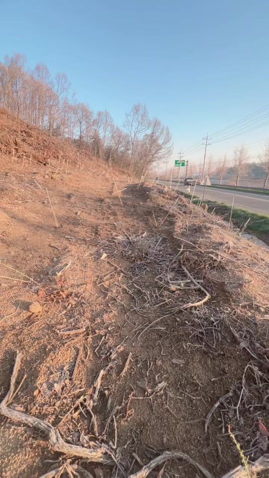 TikTok video thumbnail by run_183