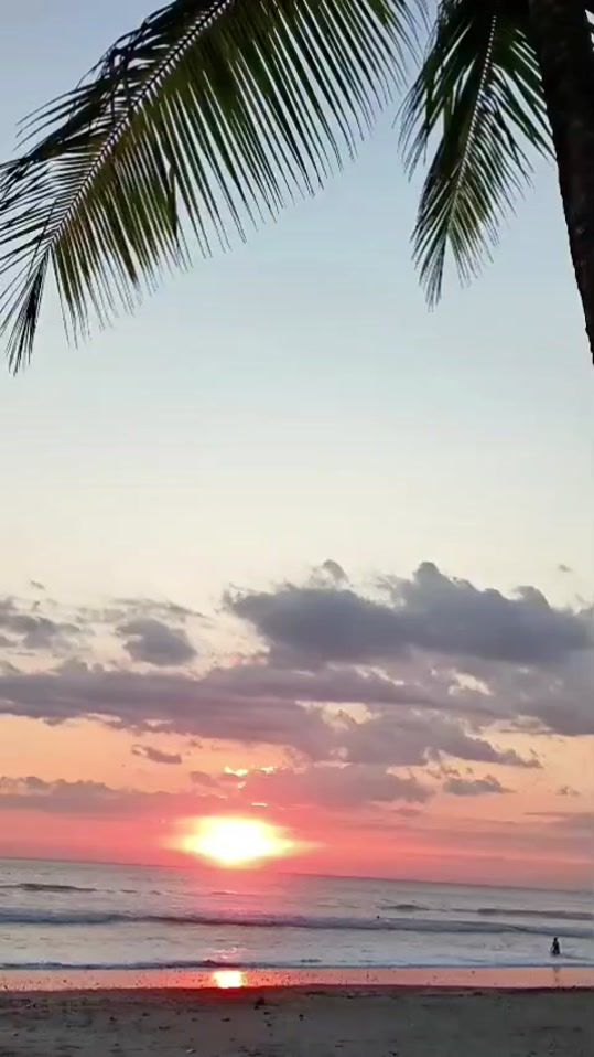TikTok video thumbnail by arodyscorea