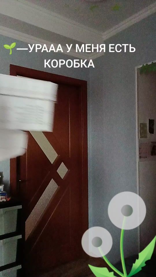 TikTok video thumbnail by _nora.dragon_