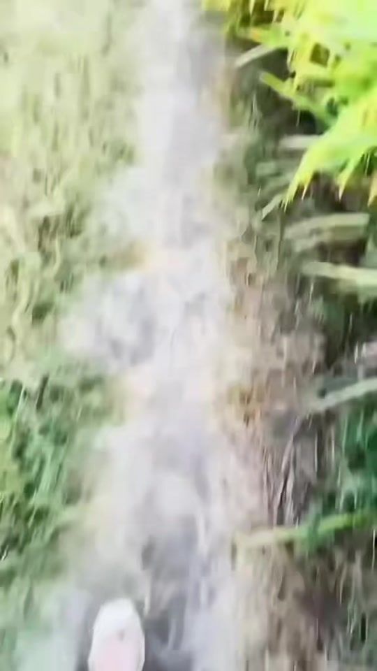 TikTok video thumbnail by gl_buttni47
