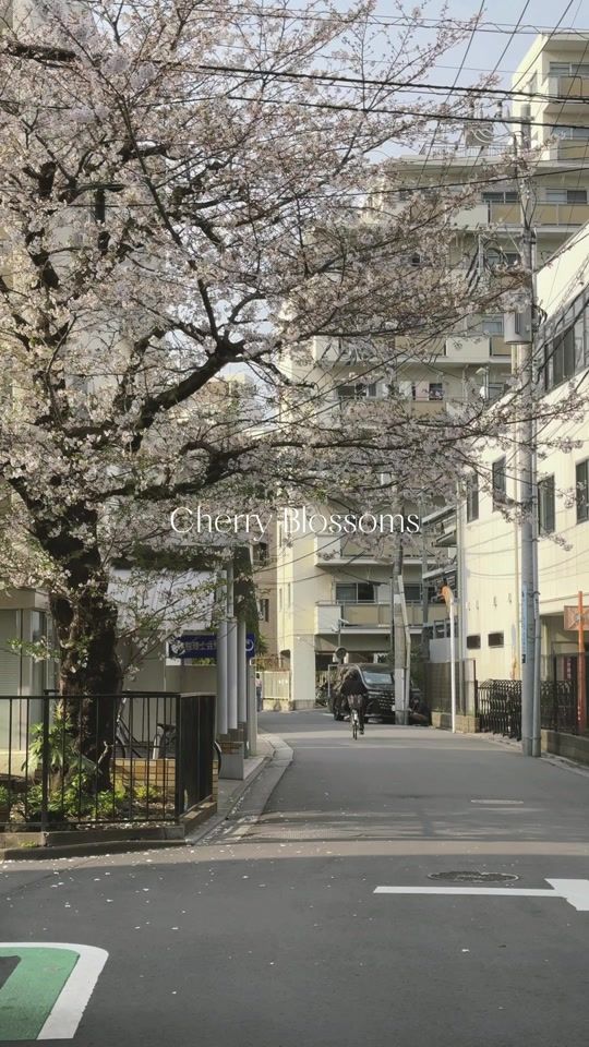TikTok video thumbnail by gin_japan