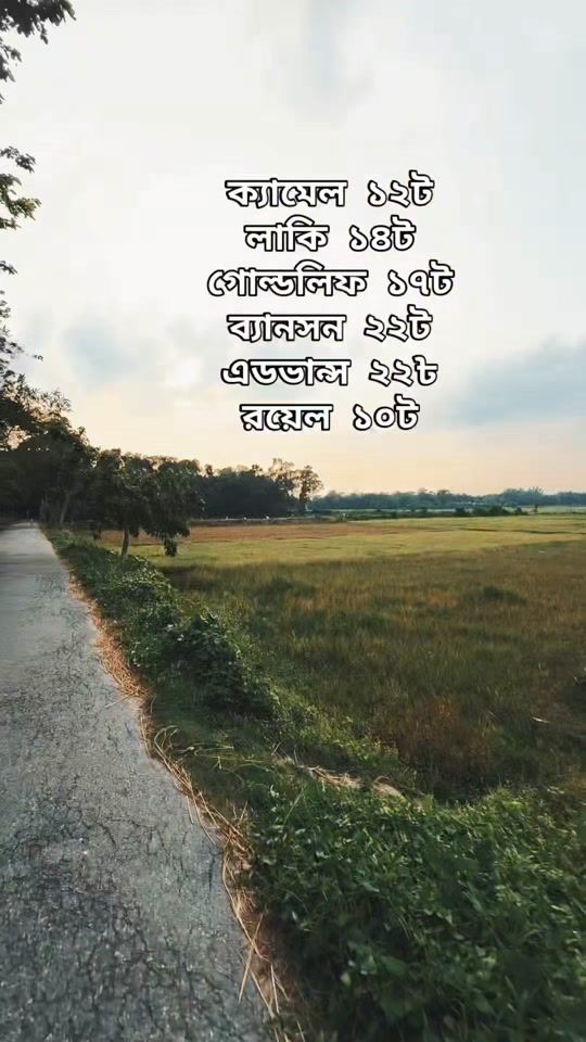 TikTok video thumbnail by mdsarkersayeed