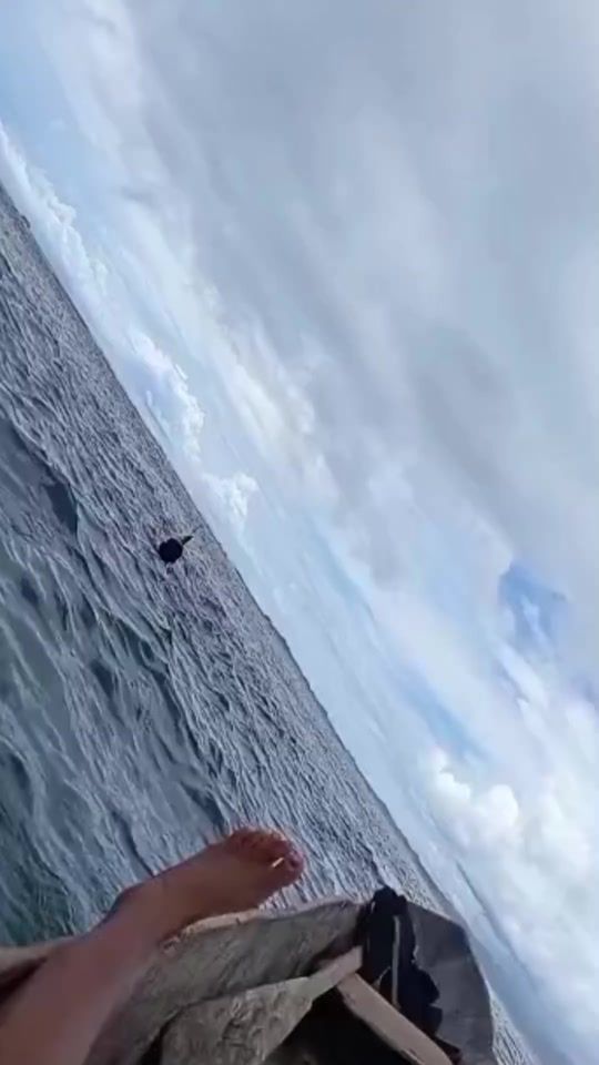 TikTok video thumbnail by mayvaliente11