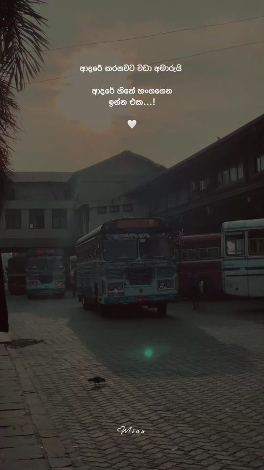 TikTok video thumbnail by _minu.___