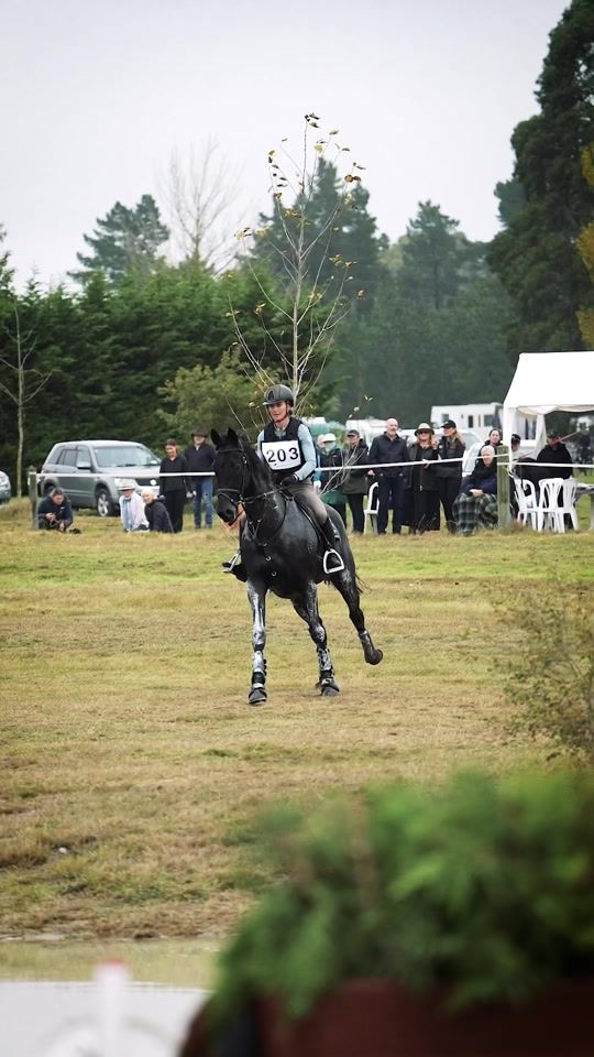 TikTok video thumbnail by brodieroberts.equestrian