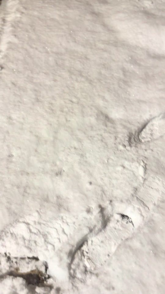 TikTok video thumbnail by raf_yan778