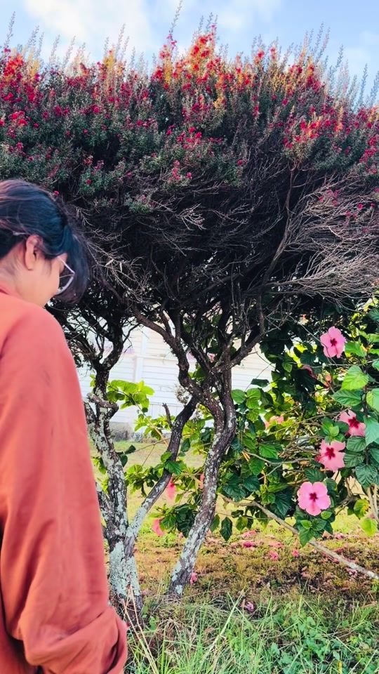 TikTok video thumbnail by sach_diaries_25