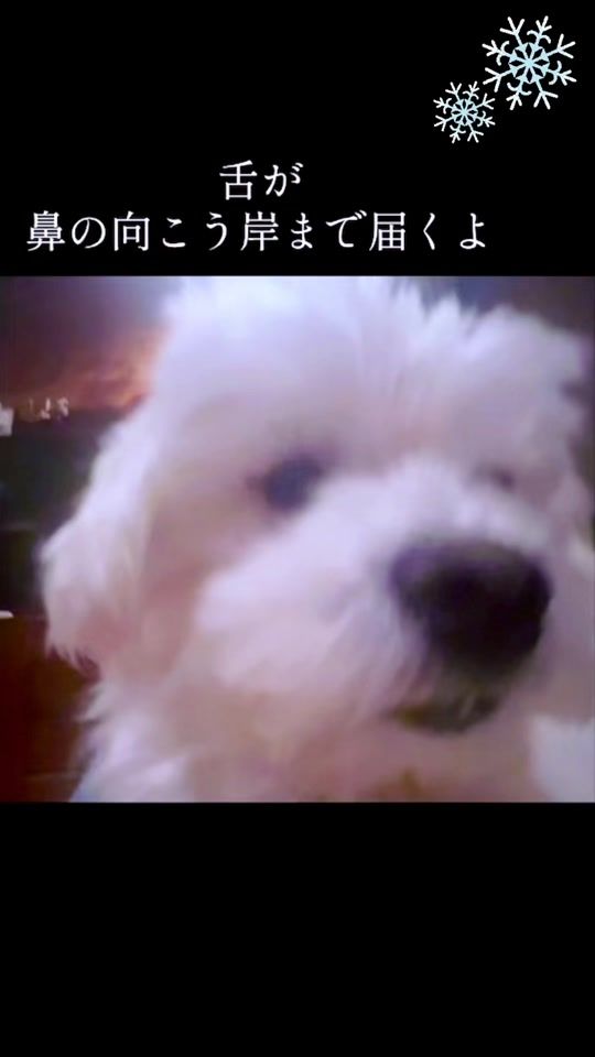 TikTok video thumbnail by wata2.14