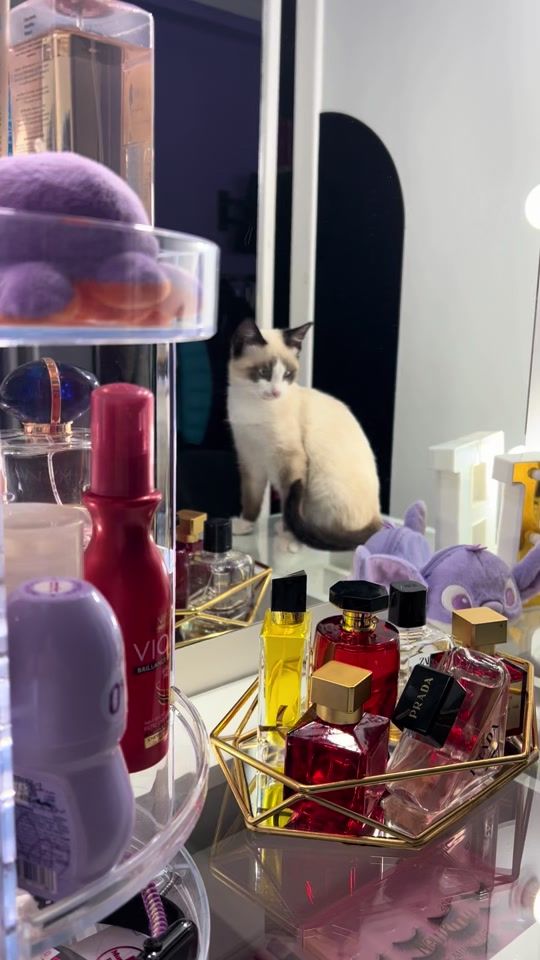 TikTok video thumbnail by iwi_amr