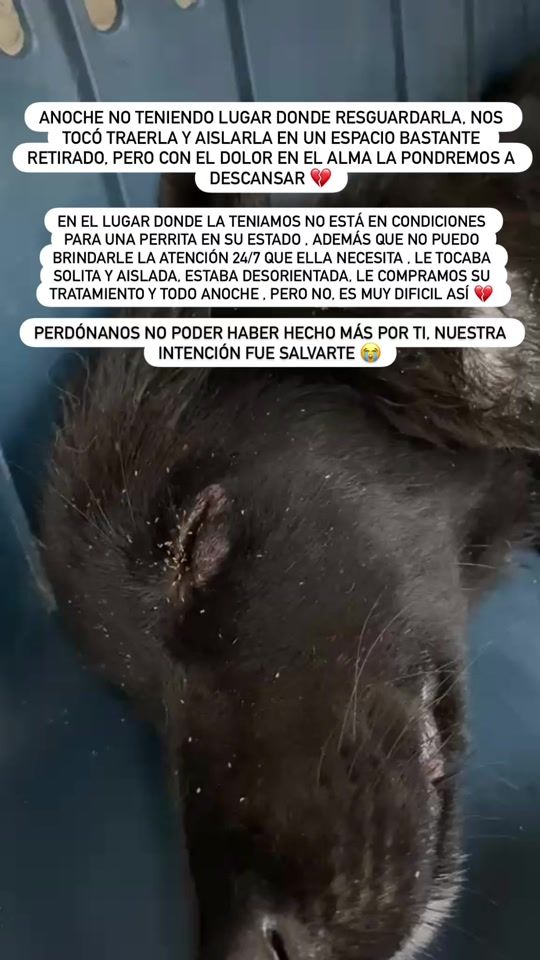 TikTok video thumbnail by la.manadadechester