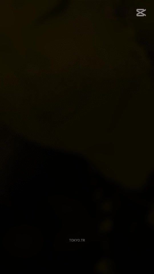 TikTok video thumbnail by armina.korkusuz