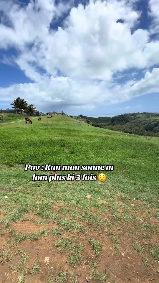 TikTok video thumbnail by salviohexia72