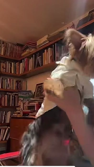 TikTok video thumbnail by lagitana2111